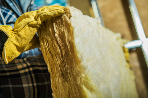 Best Insulation Materials and Products in Norco, LA