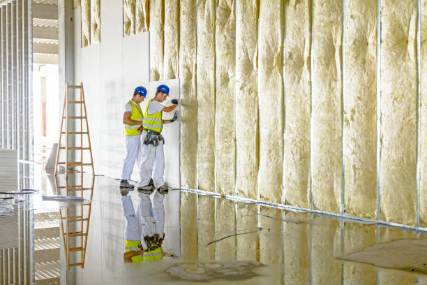 Best Specialty Insulation in Norco, LA